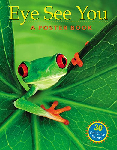 Eye See You : A Poster Book