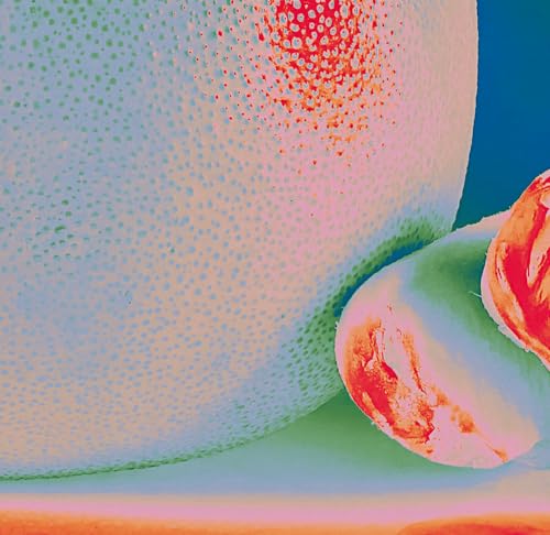 Close-up of citrus fruit with textured skin and vibrant pink hues.