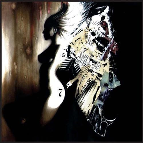 Dark abstract portrait of a woman with newspaper collage details.