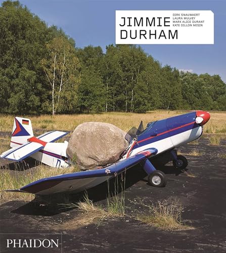 Jimmie Durham : Contemporary Artists series