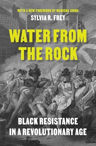 Water from the Rock : Black Resistance in a Revolutionary Age