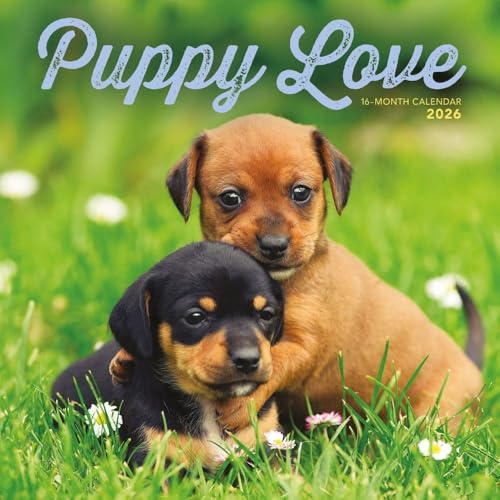 Puppy Love Square Wall Sunday Start Cale