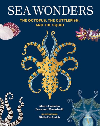 Sea Wonders: The Octopus, The Cuttlefish, And The Squid