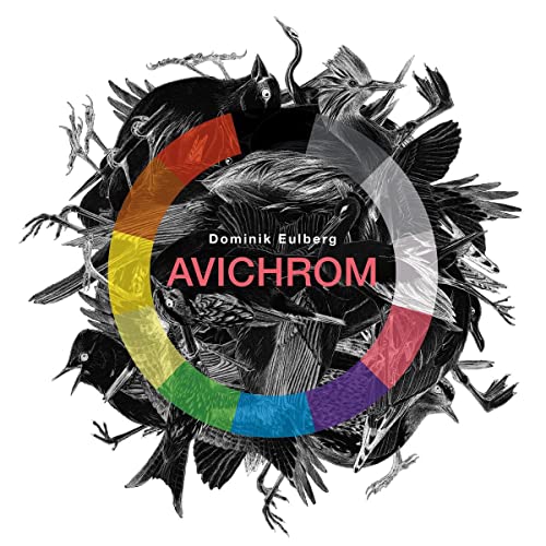 Black and white illustration of birds around a colorful circular design.