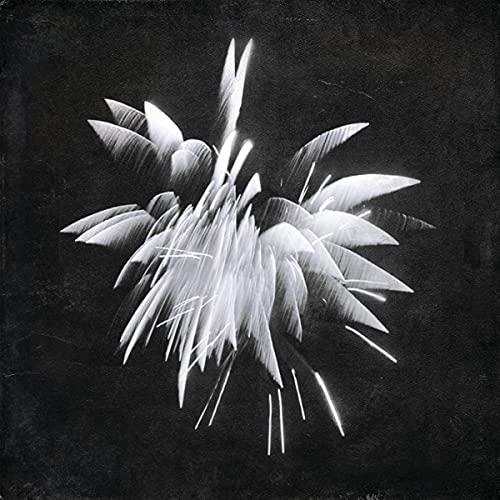 Black and white CD cover with abstract, spiky floral image.