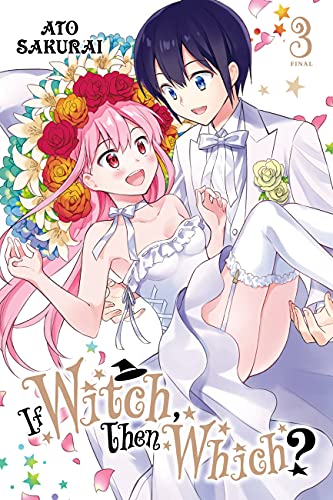 If Witch Then Which Gn Vol 03 (C: 0-1-2)