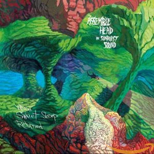 CD cover with swirling, colorful abstract landscape and band name.