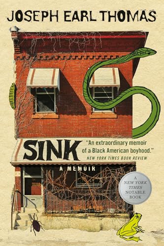 Sink : A Memoir