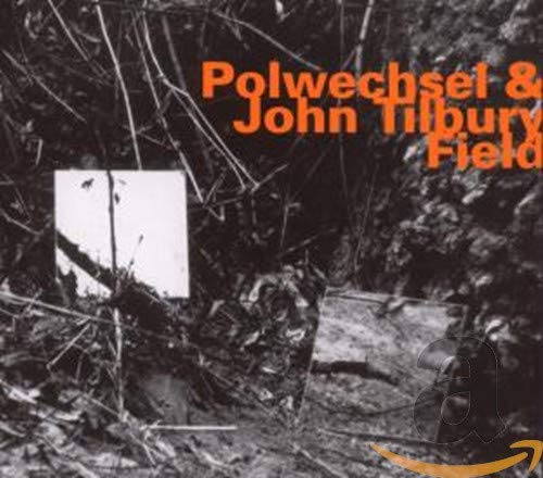 CD cover for "Field" by Burkhard Beins & Martin Brand, abstract foliage.