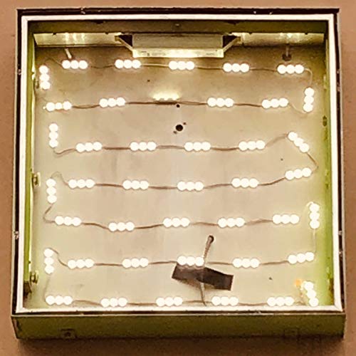 Vinyl record in a square, illuminated display case with string lights.