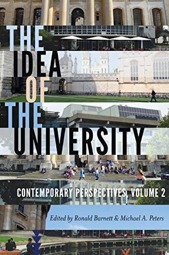 The Idea of the University; Contemporary Perspectives (18) (Global Studies in Education)