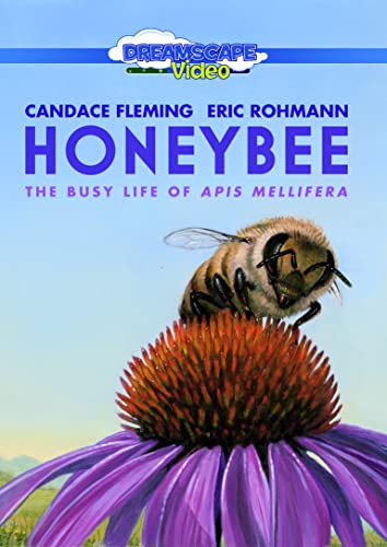 DVD cover featuring a honeybee on a vibrant purple coneflower.