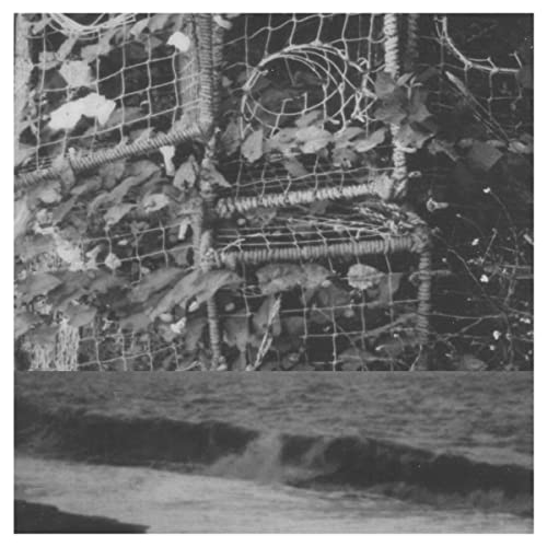 Black and white album cover with netting, foliage, and ocean waves.