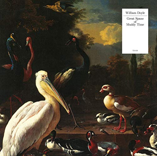 Album cover featuring various birds in a dark, classical painting style.