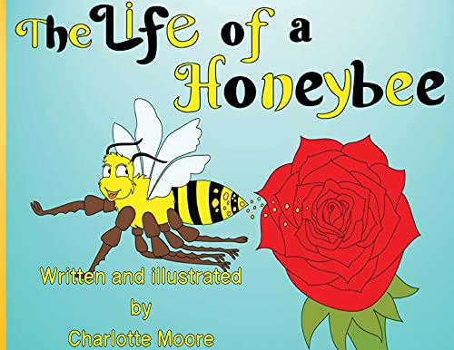 The Life of a Honeybee: 1 (Little Beast Series Life In A Meadow)
