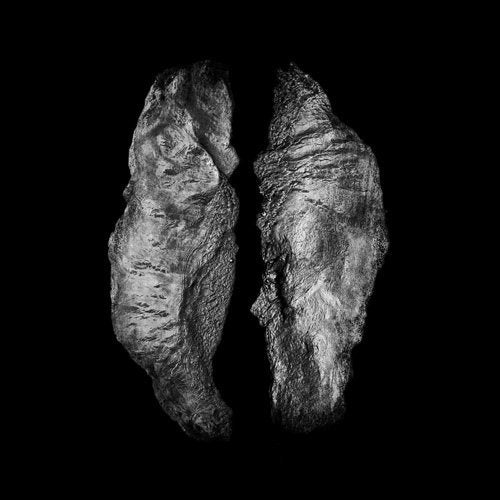 Black and white abstract image of two textured, rock-like forms.