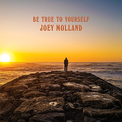 CD cover: man silhouetted against a sunset over the ocean.