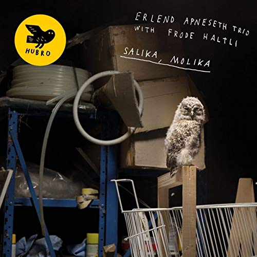 Vinyl album cover featuring an owl perched on a cardboard box.