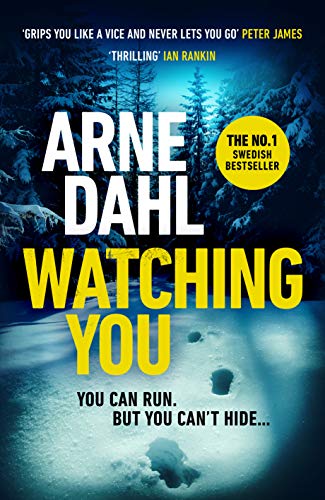 Watching You (Sam Berger Series, 1)