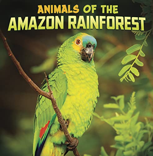 Animals of the Amazon Rainforest (Wild Biomes)