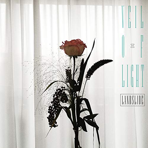 Vinyl record cover with a red rose and sheer white curtains.