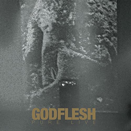 Godflesh "Pure: Live" vinyl album cover, textured stone face in grayscale.