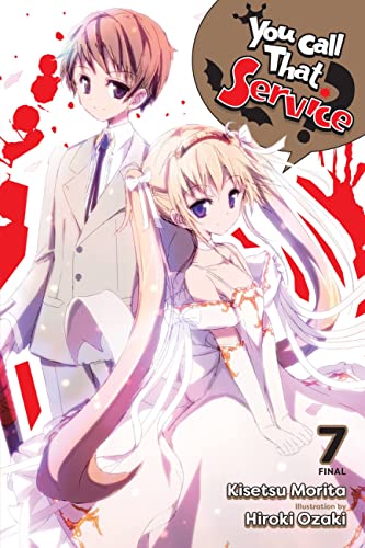 You Call That Service Light Novel Sc Vol 07 (C: 0-1-2)