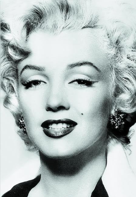 Silver Marilyn : Marilyn and the Camera