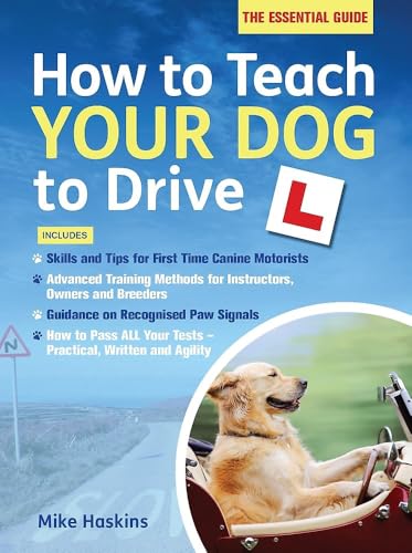 How to Teach your Dog to Drive
