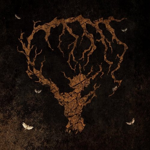 Dark album cover featuring a brown, branching shape and small white moths.