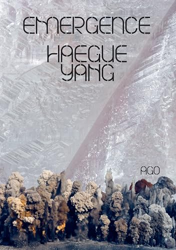 Haegue Yang: Emergence