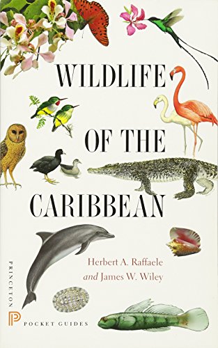 Wildlife of the Caribbean