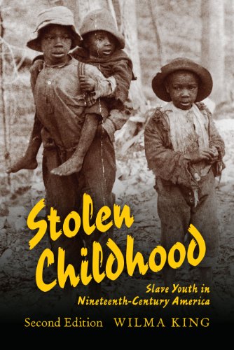 Stolen Childhood, Second Edition : Slave Youth in Nineteenth-Century America