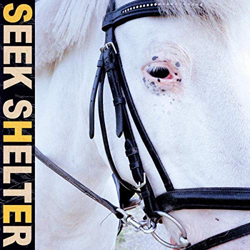 Close-up of a white horse's face with bridle, album art.