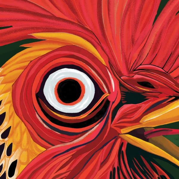 Close-up of a red and yellow rooster’s face with a white eye.