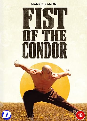DVD cover for "The Fist Of The Condor" featuring a martial artist.