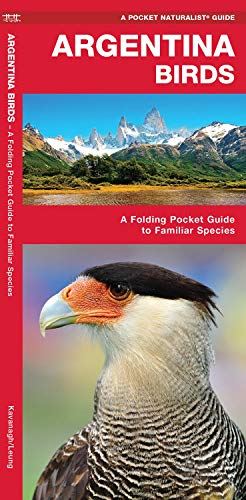 Argentina Birds: A Folding Pocket Guide to Familiar Species (Pocket Naturalist Guide) (Wildlife and Nature Identification)