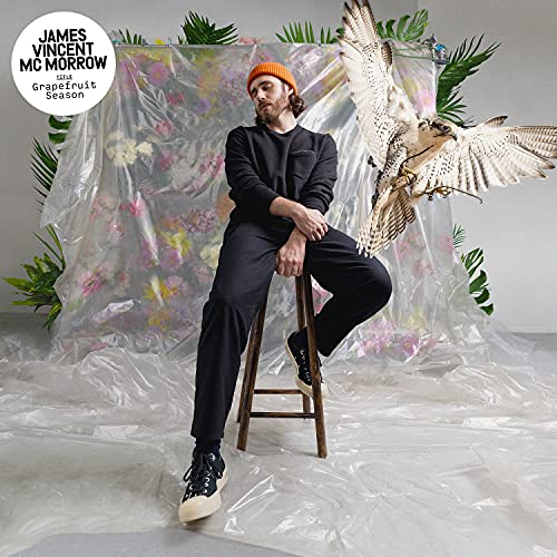 James Vincent McMorrow album cover with man and a bird of prey.