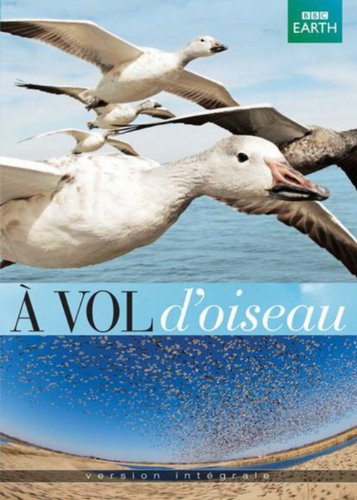 DVD cover featuring flying geese against a blue sky and ocean.