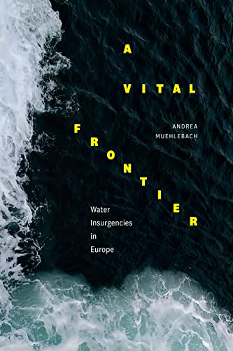 A Vital Frontier: Water Insurgencies in Europe