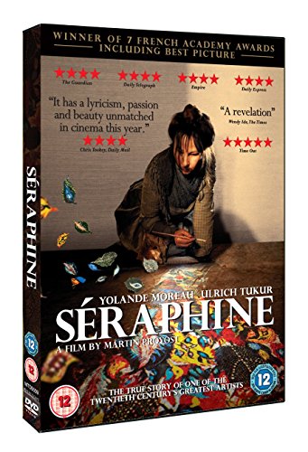 DVD cover for the film Séraphine featuring a woman painting on the floor.