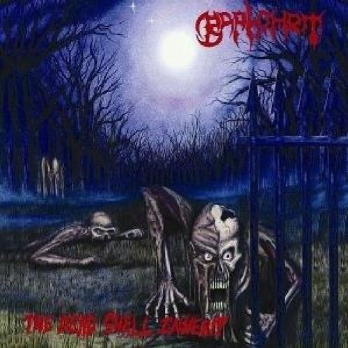 Two zombies crawl through a moonlit graveyard toward a metal gate.