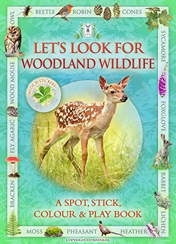 Let’s Look For Woodland Wildlife: A Spot, Stick, Colour & Play Book: Part of the Let’s Look Nature Series for Children Aged 4 to 8 Years