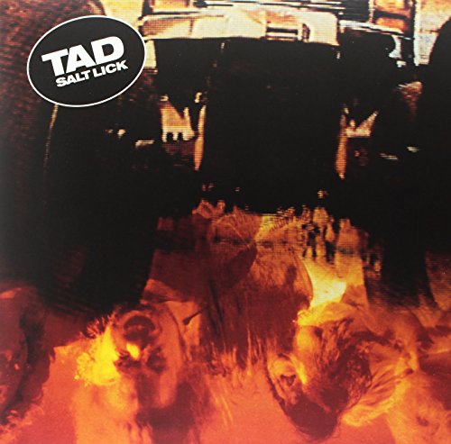 Vinyl record cover for Tad’s “Salt Lick” featuring cows in a dark barn.