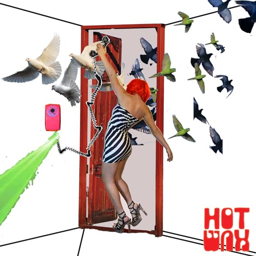 Surreal album cover with a person reaching for birds near a red door.