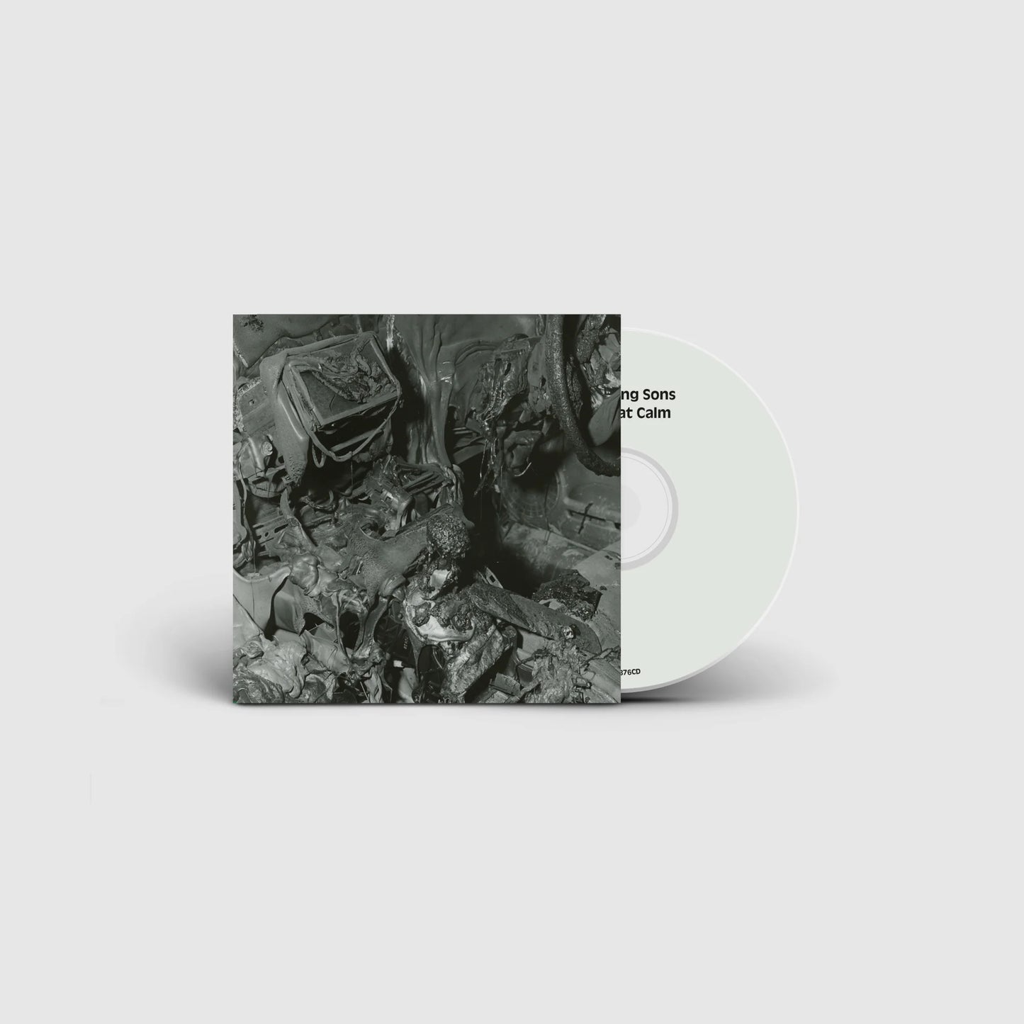 CD cover for "Whispering Sons - Great Calm" with abstract, textured imagery.