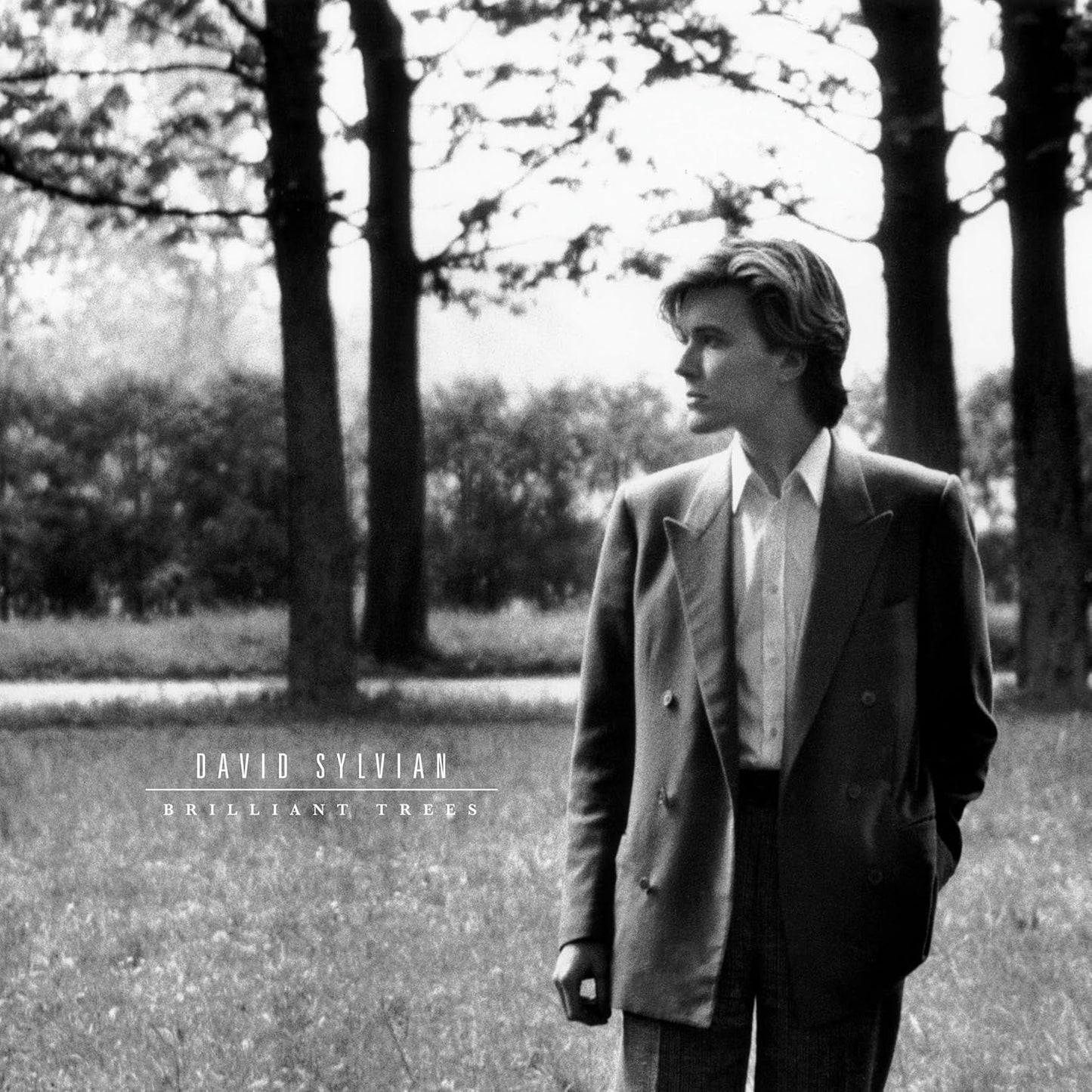 Black and white album cover featuring David Sylvian amongst trees.