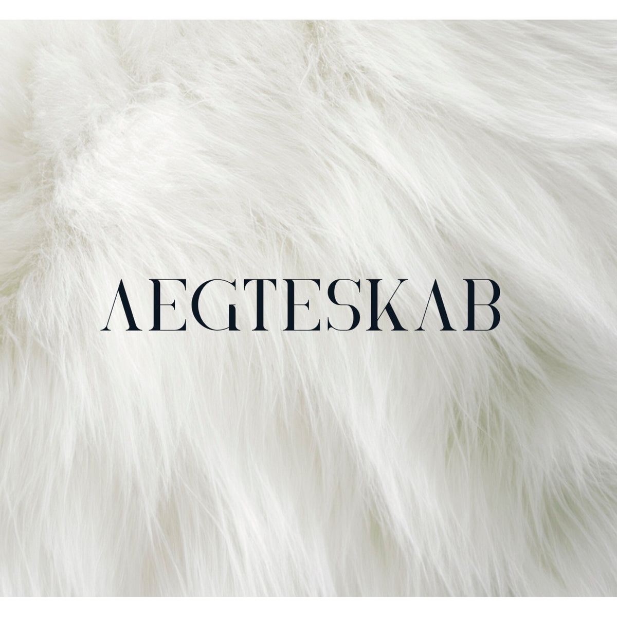 Vinyl record cover with the band name "Aegteskab" on a white, fluffy background.