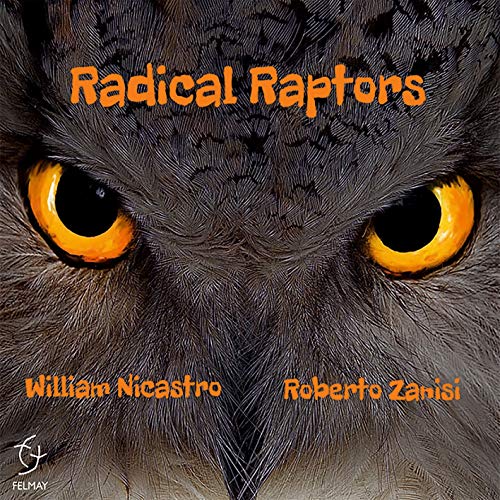 CD cover featuring a close-up of an owl’s intense, yellow eyes.
