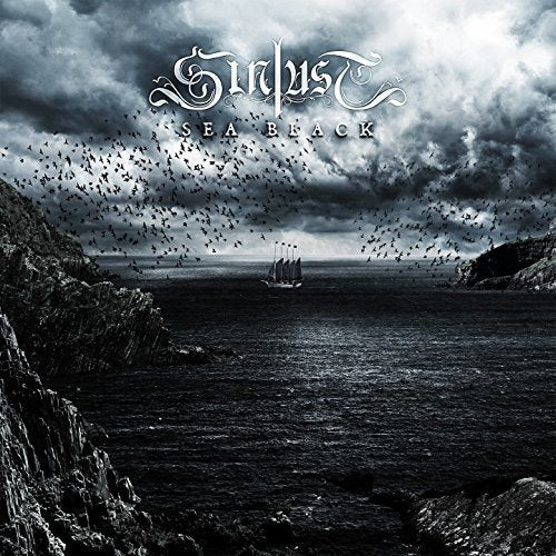 Dark seascape with a sailing ship, stormy sky, and many birds.